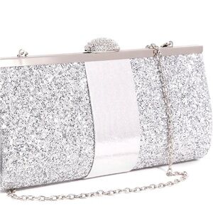 Silver Evening Bag
